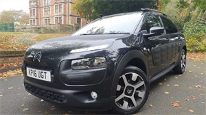 C4 Cactus